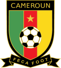 Flag of Fédération Camerounaise de Football
